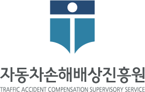 자동차손해배상진흥원, TRAFFIC ACCIDENT COMPENSATION SUPERVISORY SERVICE